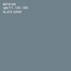 #6F818B - Slate Gray Color Image